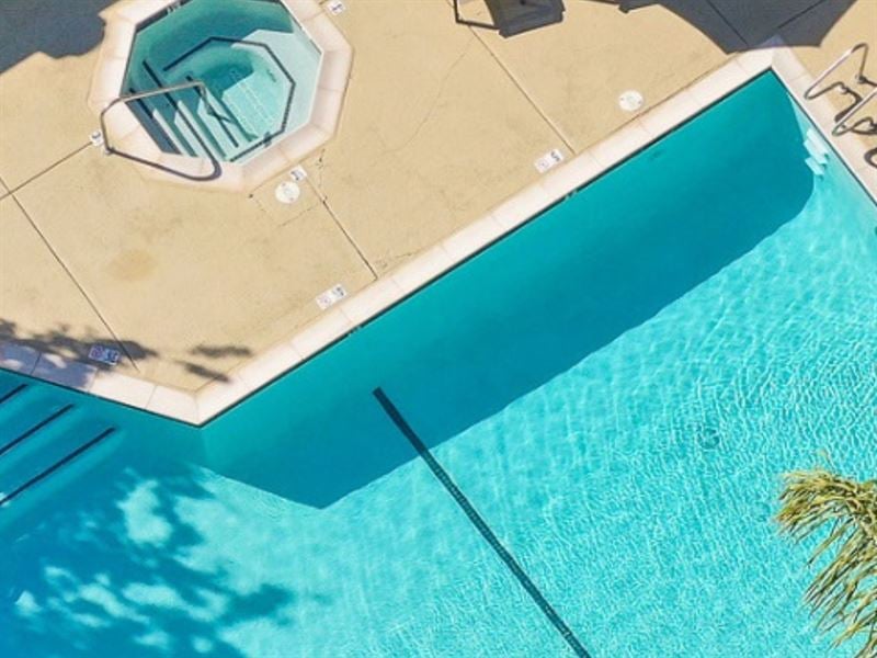 Overhead view of a swimming pool with a hot tub and palm tree nearby.